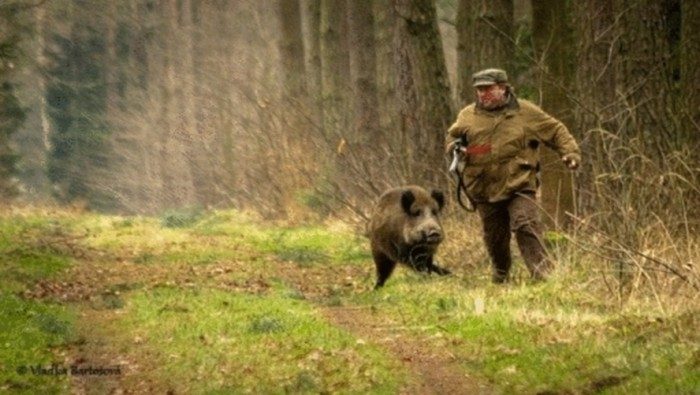 Когда жизнь дала трещину. Вот это ДА!