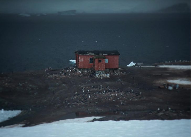 Мир безмолвия: Антарктика, какой мы её никогда не видели путешествия,Путешествие и отдых,антарктида,Антарктика,белое безмолвие