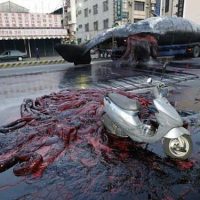 Самое необычное содержимое перевернувшихся грузовиков (9 фото) Самое необычное содержимое перевернувшихся грузовиков (9 фото)
