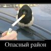 Рози Хантингтон-Уайтли запустила сайт о красоте Рози Хантингтон-Уайтли запустила сайт о красоте