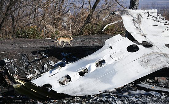 СМИ поведали об иске родственников жертв MH17 к России и Путину