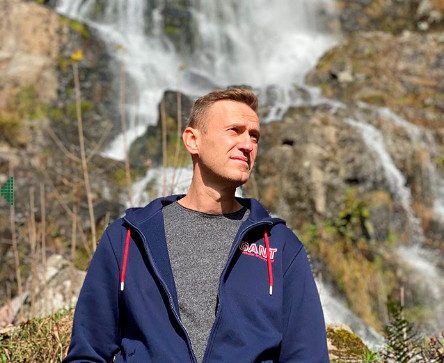 Более 50 стран подтвердили и осудили отравление Навального «Новичком»