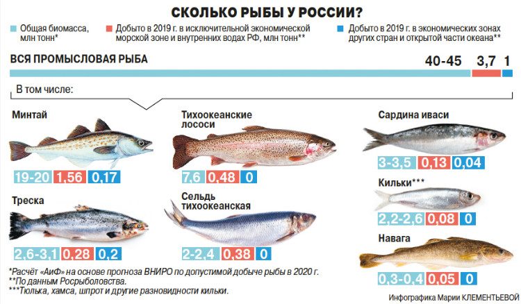 Почему Россия добывает рыбы меньше, чем во времена СССР?