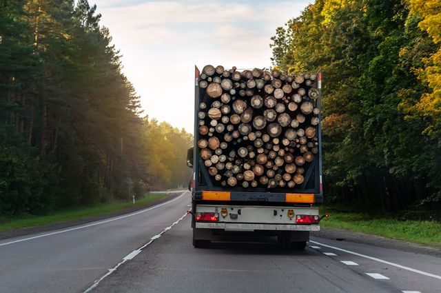 Почему в России - лесной державе возник дефицит древесины?