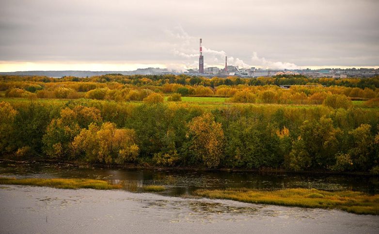 Минприроды подготовило поправки о лесоклиматических проектах в России