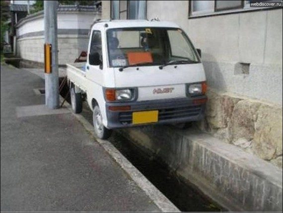 Я паркуюсь как хочу!