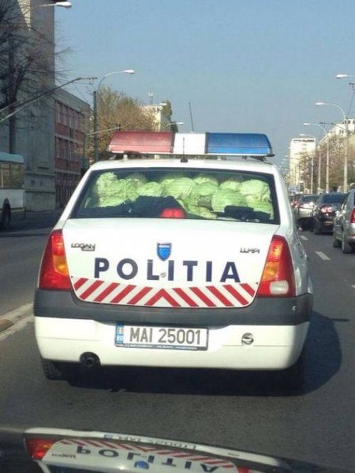 Такие прикольные полицейские!