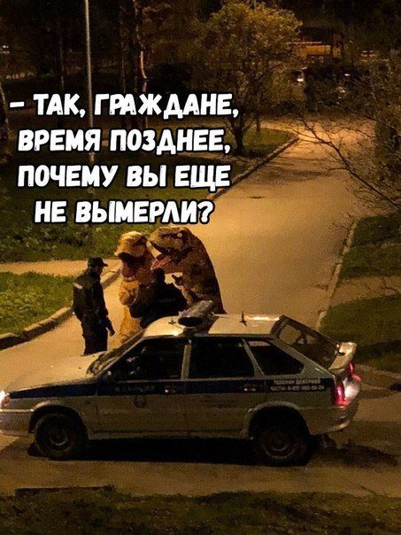 Новые весёлые фотомемы