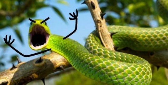 Смешные змеи с руками