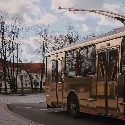 Необычные пассажиры троллейбусов