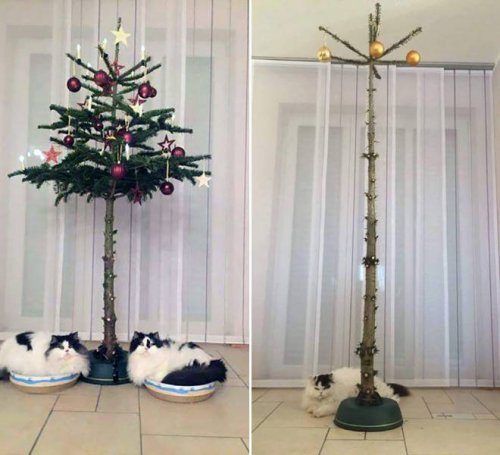 Спасение новогодней елки от домашних животных