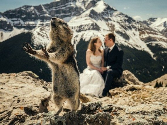 Забавные фотобомбы со свадеб