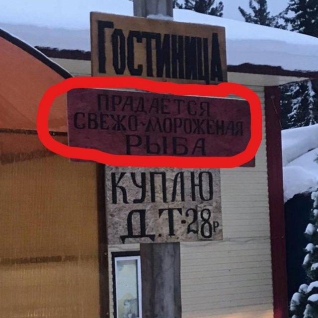 Эти люди плохо знают русский язык