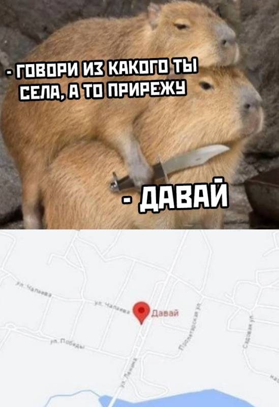 Весёлые мемы и картинки