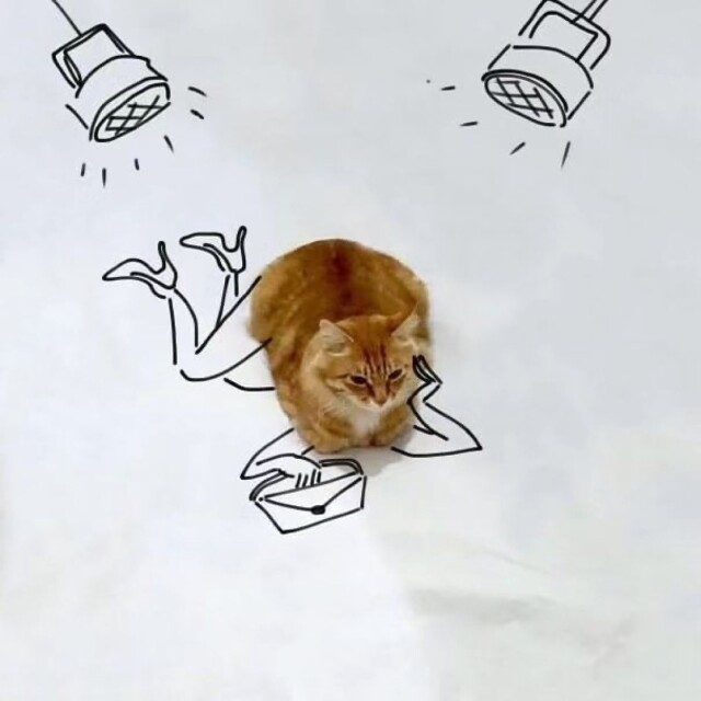 Кошка ведёт активный образ жизни