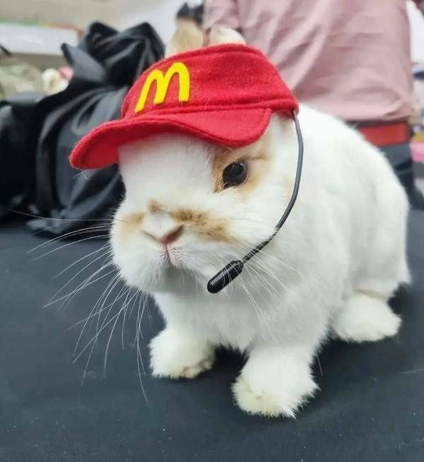 Вечерний выпуск. Подборка картинок