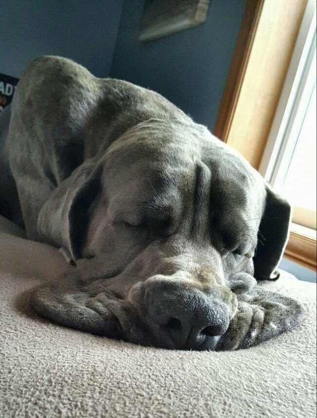 Вечерний выпуск. Подборка картинок