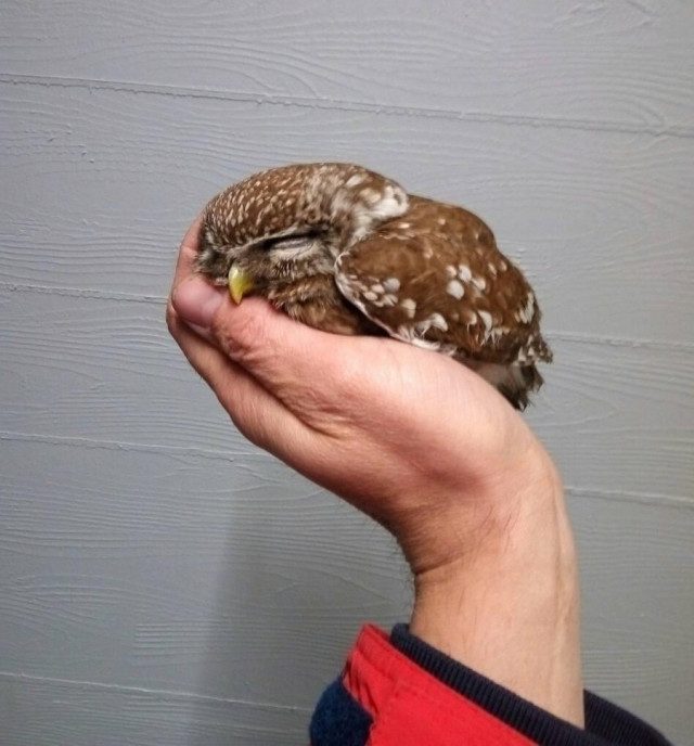 Прикольных картинок пост