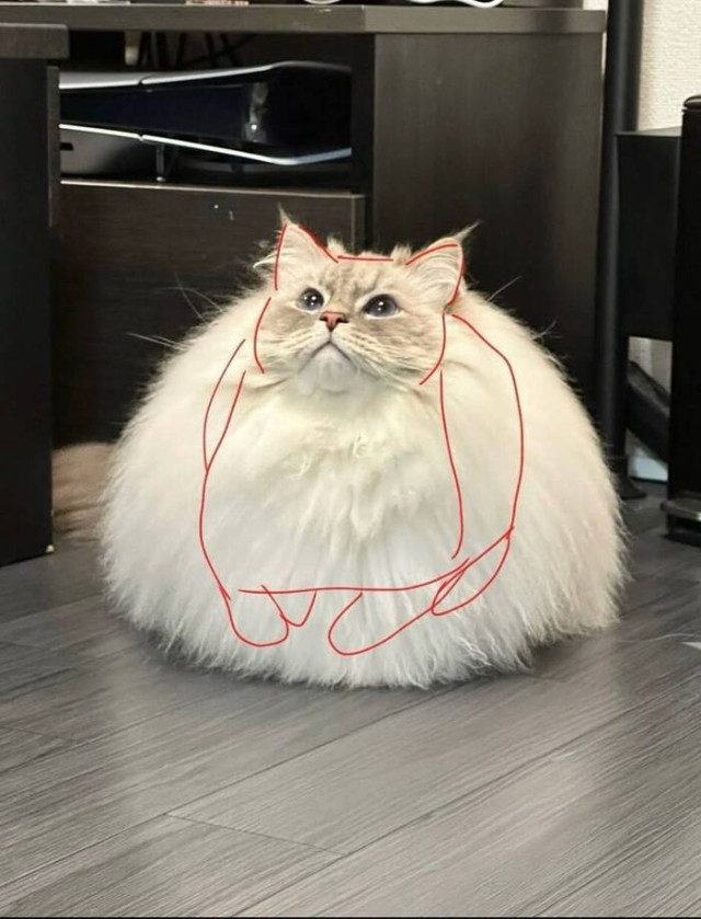 Когда хаос рождает красоту