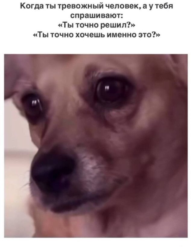 Когда хаос рождает красоту