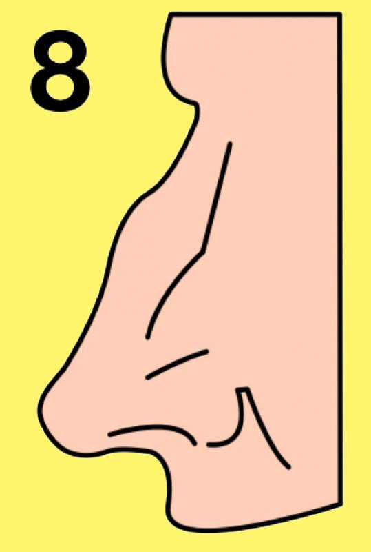 Как определить характер по форме носа