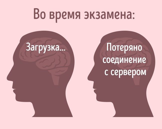 Как мы сами влияем на наш мозг