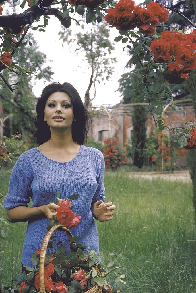 1964 год в цвете