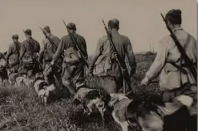 Как 150 пограничных псов «порвали» полк фашистов