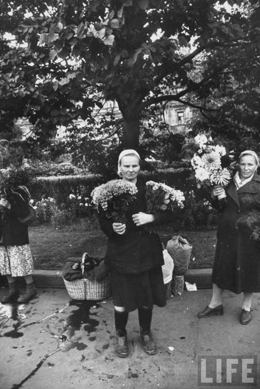 Москвички в 1959-м году