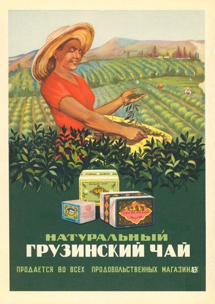 Советский чай в 1956 году