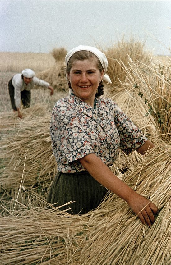 Повседневная жизнь в СССР 1950-х