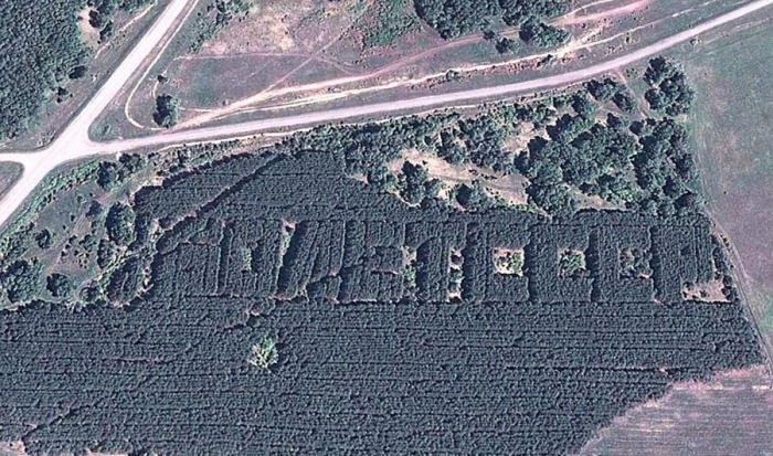 Зачем в СССР делали надписи из деревьев, видимые даже из космоса?