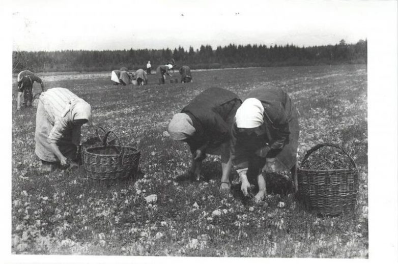 Советские колхозники