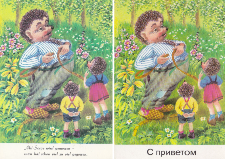 Немецкие открытки с ёжиками, которые так полюбили в СССР