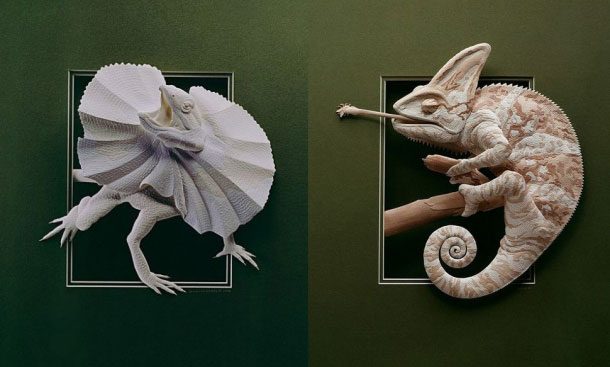 3D-инсталляции из бумаги художницы Кальвин Николс