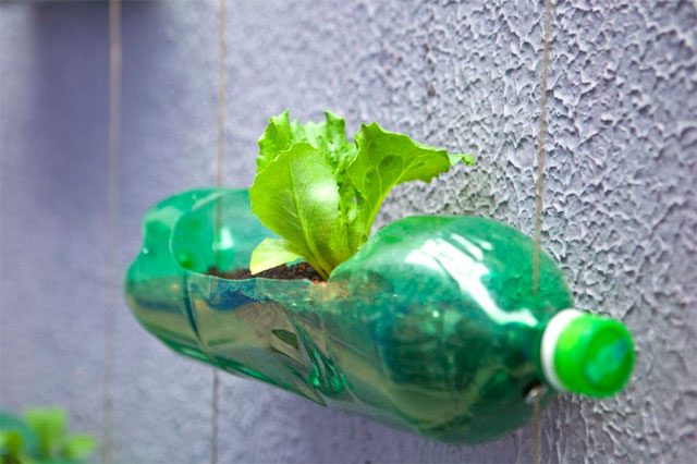 Вертикальный сад из пластиковых бутылок
