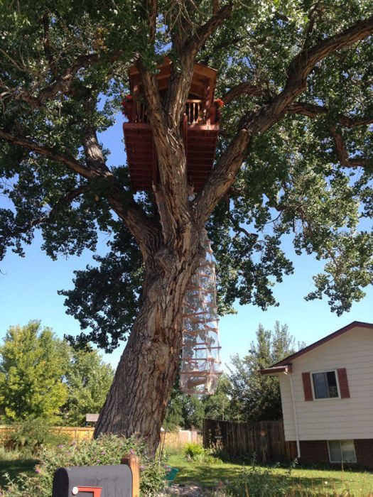 Строительство детского домика на дереве
