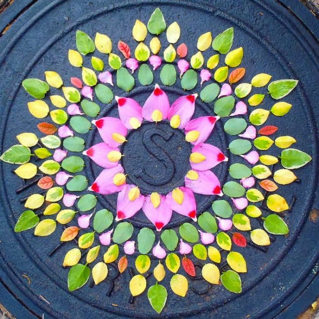 Художница создает красочные мандалы из цветов и растений