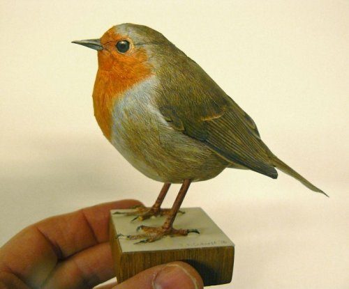 Невероятно реалистичные бумажные птицы Йохана Шерфта