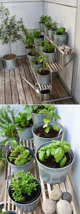 Невероятные идеи для создания мини-сада в домашних условиях