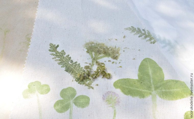 Делаем  отпечатки растений на ткани