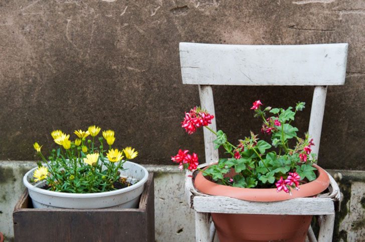 Невероятные идеи, как устроить сад прямо у себя на балконе
