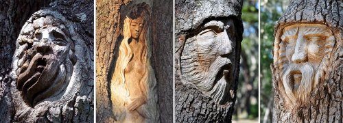 Деревья, превращённые в искусство