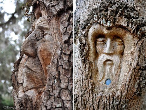 Деревья, превращённые в искусство
