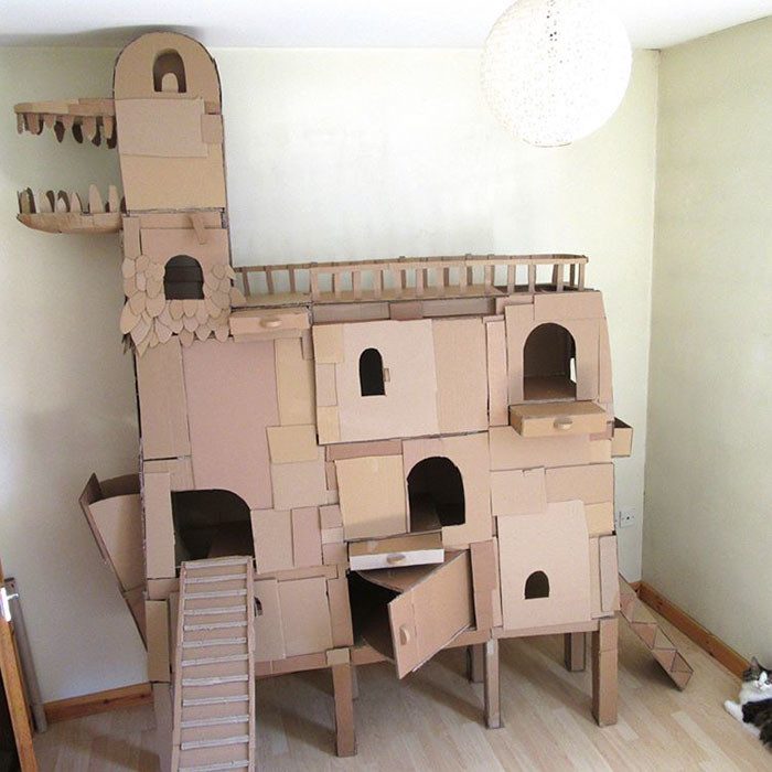 Замок для кота