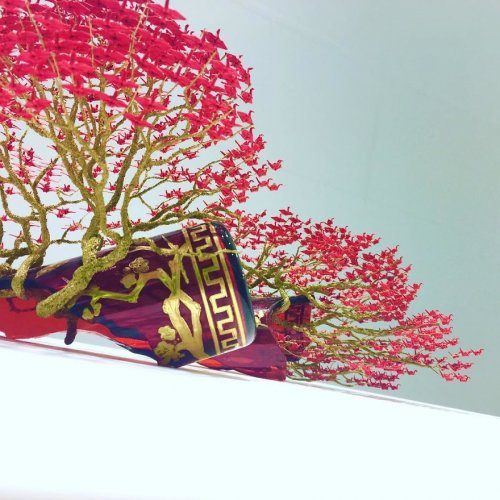 Деревья-бонсай с кронами из тысяч журавлей от Наоки Оногава