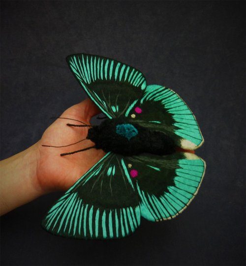 Крутые мотыльки и бабочки от художницы Юми Окита