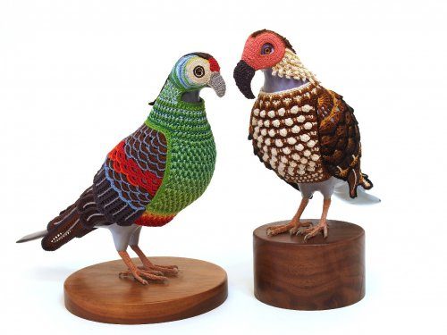 Вязаные костюмы для птиц от художницы Лорел Рот Хоуп