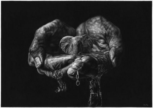 Реалистичные рисунки от художника Йоно Драй