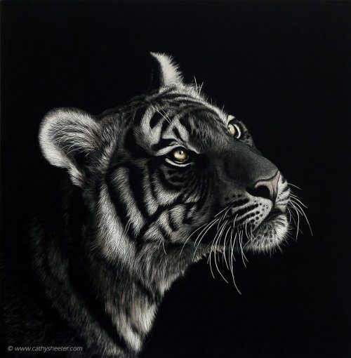 Реалистичные портреты животных от художницы Кэти Шитер